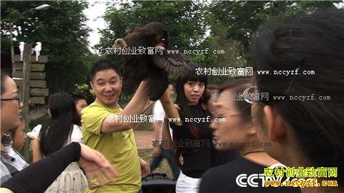 ��������� ���3000��