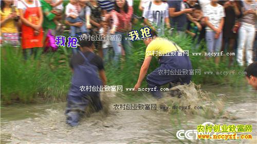 ��������� ���3000��