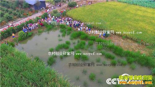 ��������� ���3000��