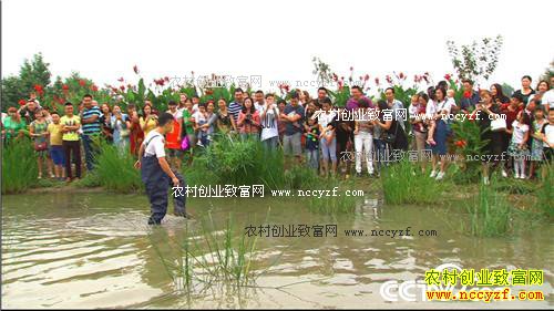 ��������� ���3000��