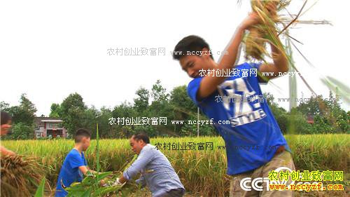 ��������� ���3000��