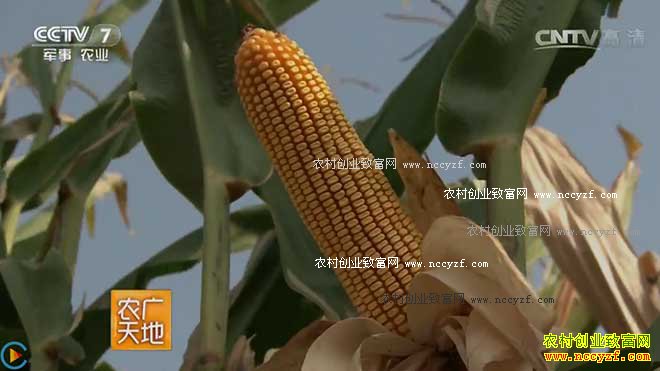 [ũ�����]�����������ױ����Ը���ģʽ 20160929