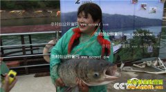 [�¸���]�������������� һ�����ǧ���