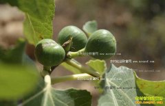 [�¸���]�����̻����޻��� �Ĵ���Զ������ֲ�޻�������ǧ��