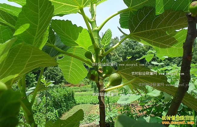 [�¸���]�����̻����޻��� �Ĵ���Զ������ֲ�޻�������ǧ��