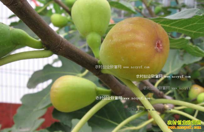 [�¸���]�����̻����޻��� �Ĵ���Զ������ֲ�޻�������ǧ��