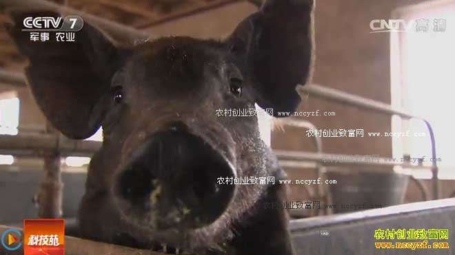 [�Ƽ�Է]���������Ŵ� 20161008