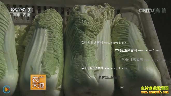 [ũ�����]��ײ�ǿ��ͨ�����ؼ���