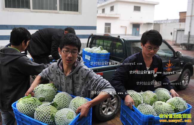 “绿色餐桌”佳肴配送中心