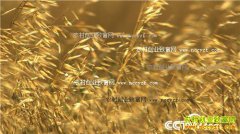 [�¸���]ɽ�����������������ӹ�����Ƭ����ǧ��Ԫ