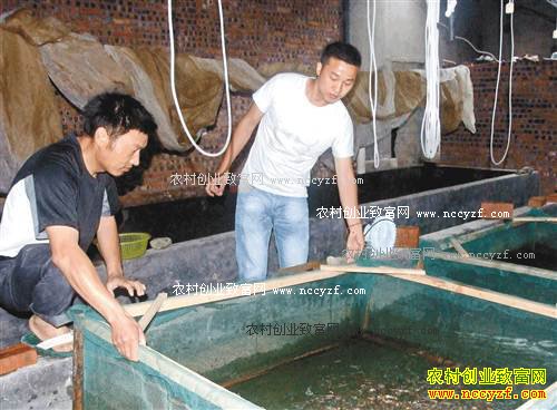 �����ϴ������������������������