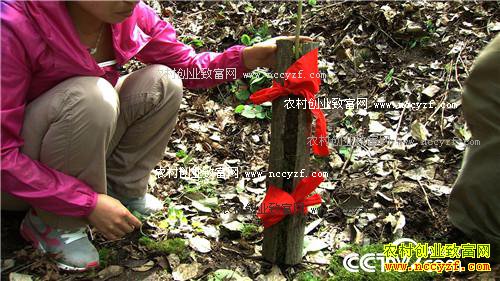 ׬Ǯ��Ҫ�ҵ���