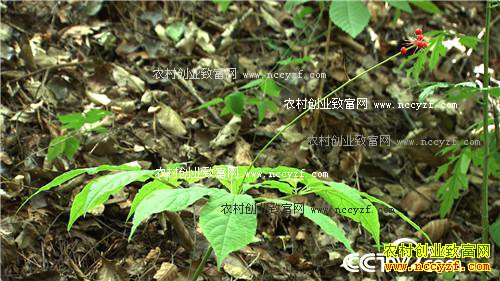 ׬Ǯ��Ҫ�ҵ���