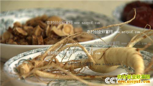 ׬Ǯ��Ҫ�ҵ���