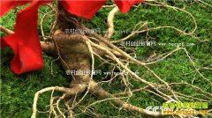 [�¸���]׬Ǯ��Ҫ�ҵ�������������������Ұ���˲��¸�