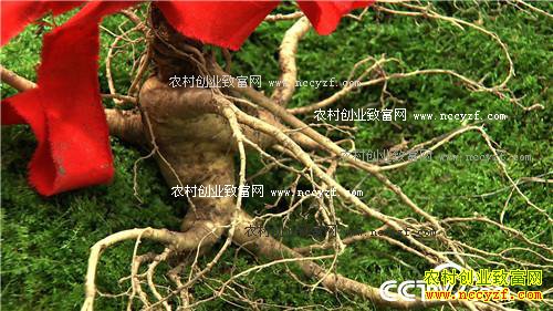 ׬Ǯ��Ҫ�ҵ���