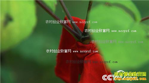 ׬Ǯ��Ҫ�ҵ���