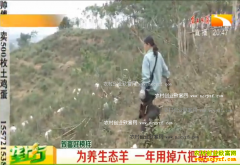 �¸��ð�������������Ů��ʦ�������򷢡��򡱲�