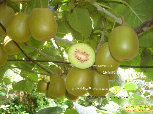 [ÿ��ũ��]�����ߺ��⨺���20161013 