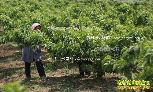 �＾�����޼�����