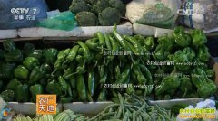 [ũ�����]�չ������ﶬ���������༼����Ƶ