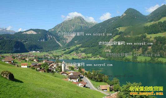 未来农村有哪些项目最赚钱?8个农村创业致富项目