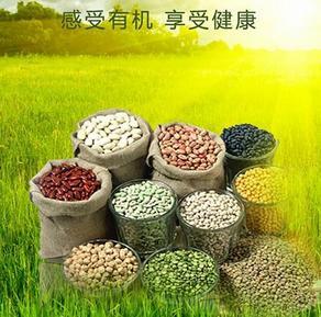 未来农村有哪些项目最赚钱?8个农村创业致富项目