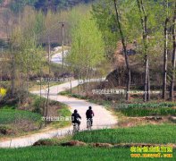 未来农村有哪些项目最赚钱?8个农村创业致富项目