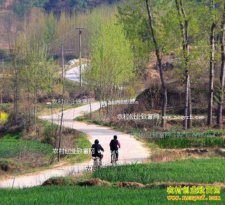 未来农村有哪些项目最赚钱?8个农村创业致富项目