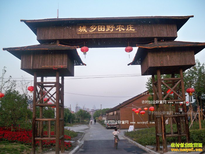 ��չ����ũҵ��Ǯ�� ����ũҵ����Щ׬Ǯģʽ��