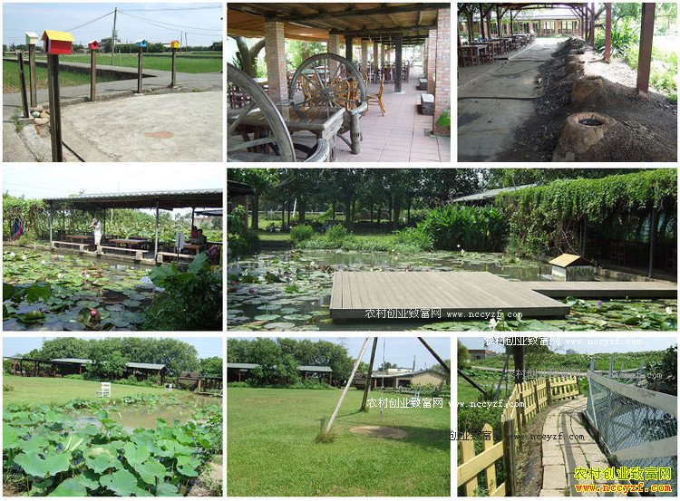 ��չ����ũҵ��Ǯ�� ����ũҵ����Щ׬Ǯģʽ��