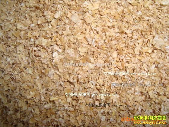 2016��10��С����Ƥ�۸����飺˫��ЧӦ С��۸��������