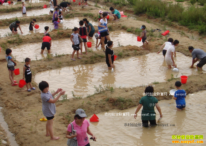 ��չ����ũҵ��Ǯ�� ����ũҵ����Щ׬Ǯģʽ��