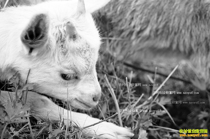 �˹��������ķ���