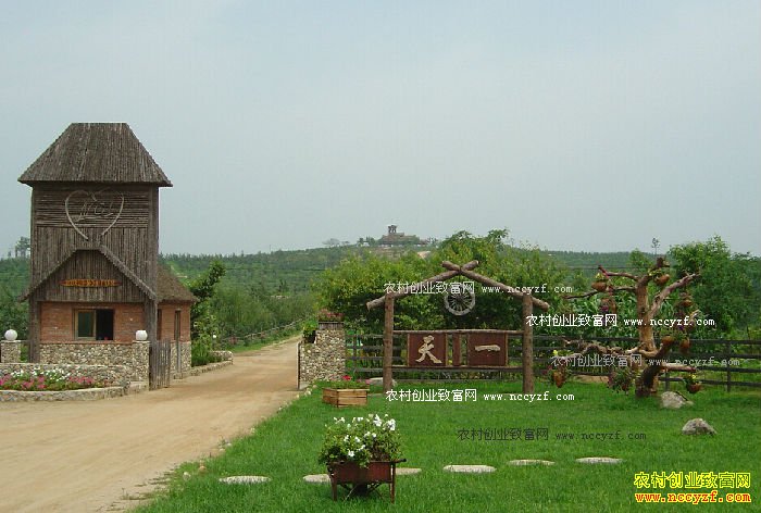 ����Ͷ������ũҵ���Ĳ�����ɹ�������ũҵ