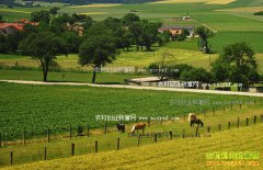 ������������ũҵ������徭��