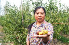 ɽ�����ݼ���÷��ֲ�����и���,30Ԫ1��������