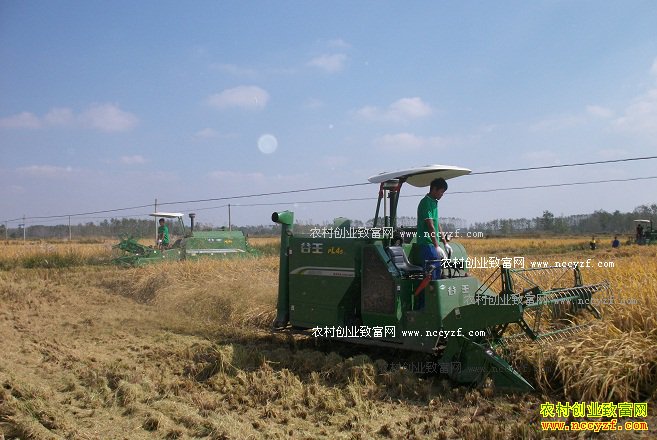 �����쳤���ոѱ��Ϊ����;��