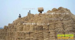 �����쳤���ոѱ��Ϊ����;��