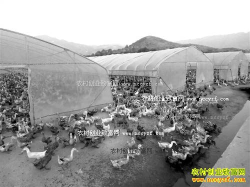 ������ɽ����ǰ��̬����Ч���