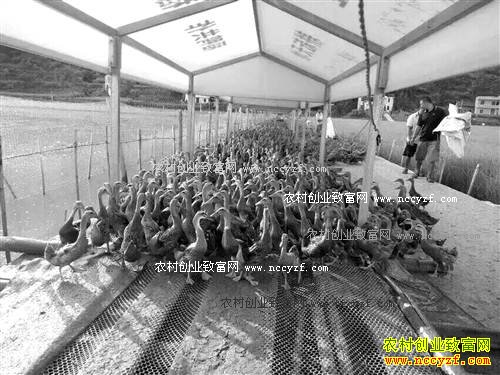 ������ɽ����ǰ��̬����Ч���