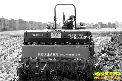 ������ɽ����ǰ��̬����Ч���