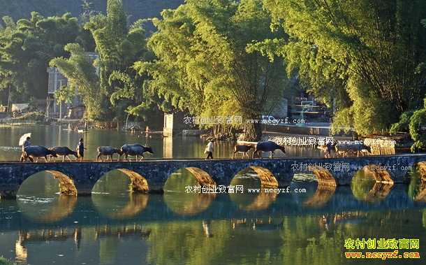 ���������ô�㣿�Ƽ�����������ģʽ���ɹ�����