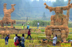 ũҵ�滮���������������ںϺ�׬Ǯ