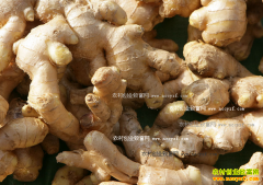 2016�������۸����飺��������ӭ��ת��