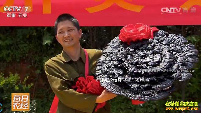 [ÿ��ũ��]���۽� ��֥��Ȼ����׬Ǯ