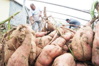 ɽ�����ȣ�����9�ŵع�Ķ����8000Ԫ���¸�����Ŀ