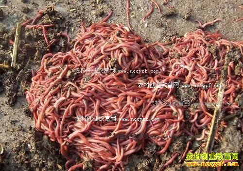 ������÷������ţ�������ȥ������Ǯ