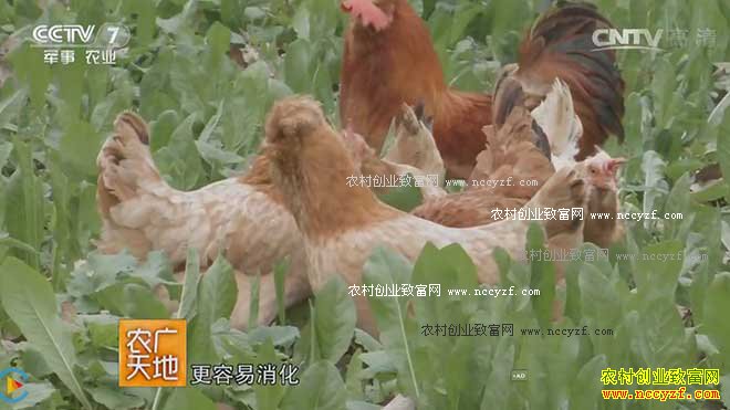 [ũ�����]���伦������ĲƸ����� 20161028