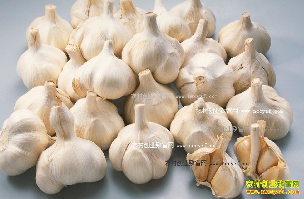 2016�����۸�����Ԥ�⣺�Ӵ洢����Ƕȿ�������������